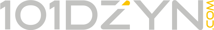 101DZYN